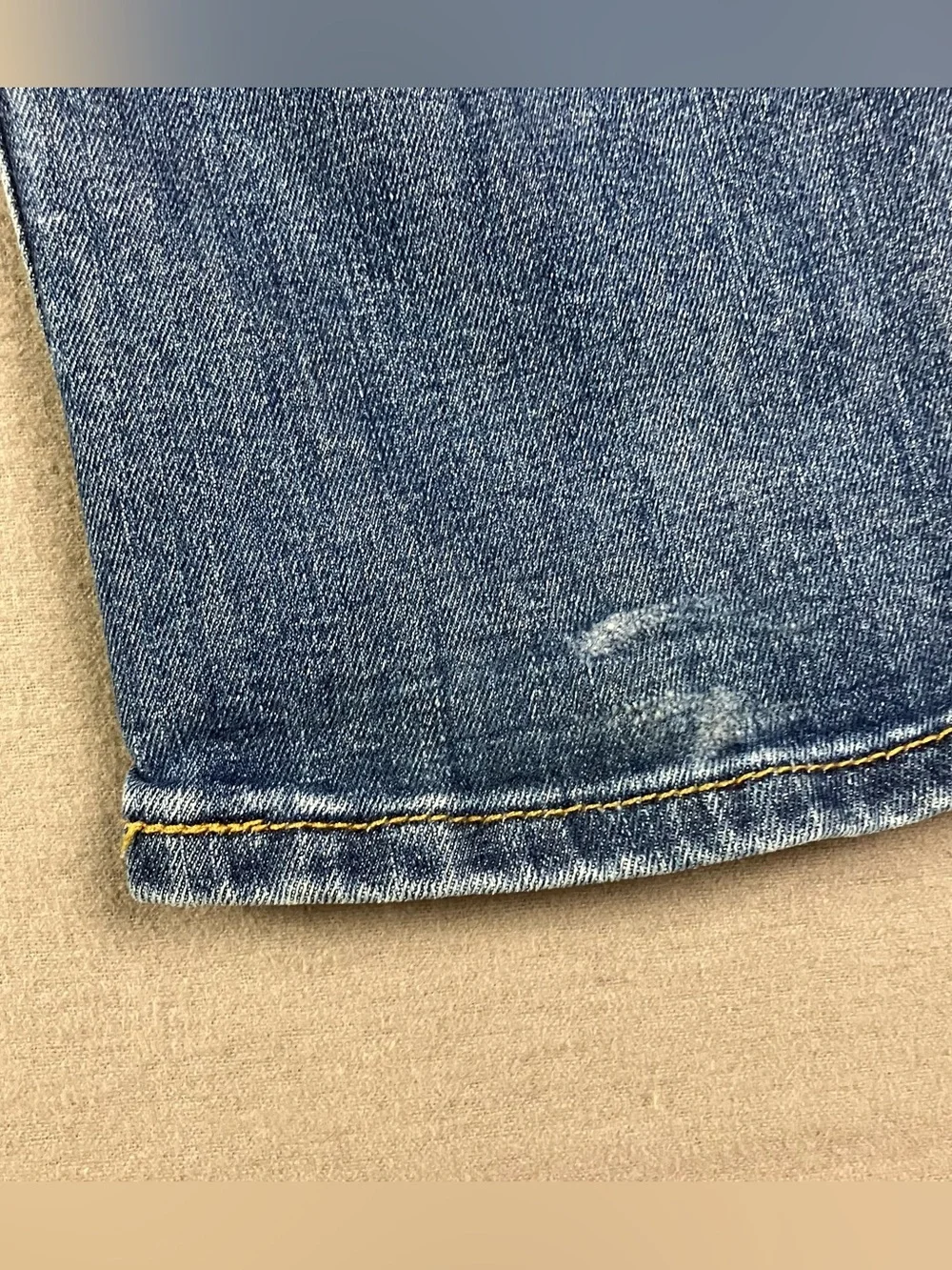 Levis levis 559